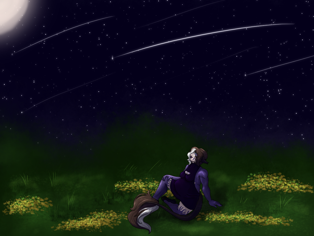 stargazing by mysteryiru